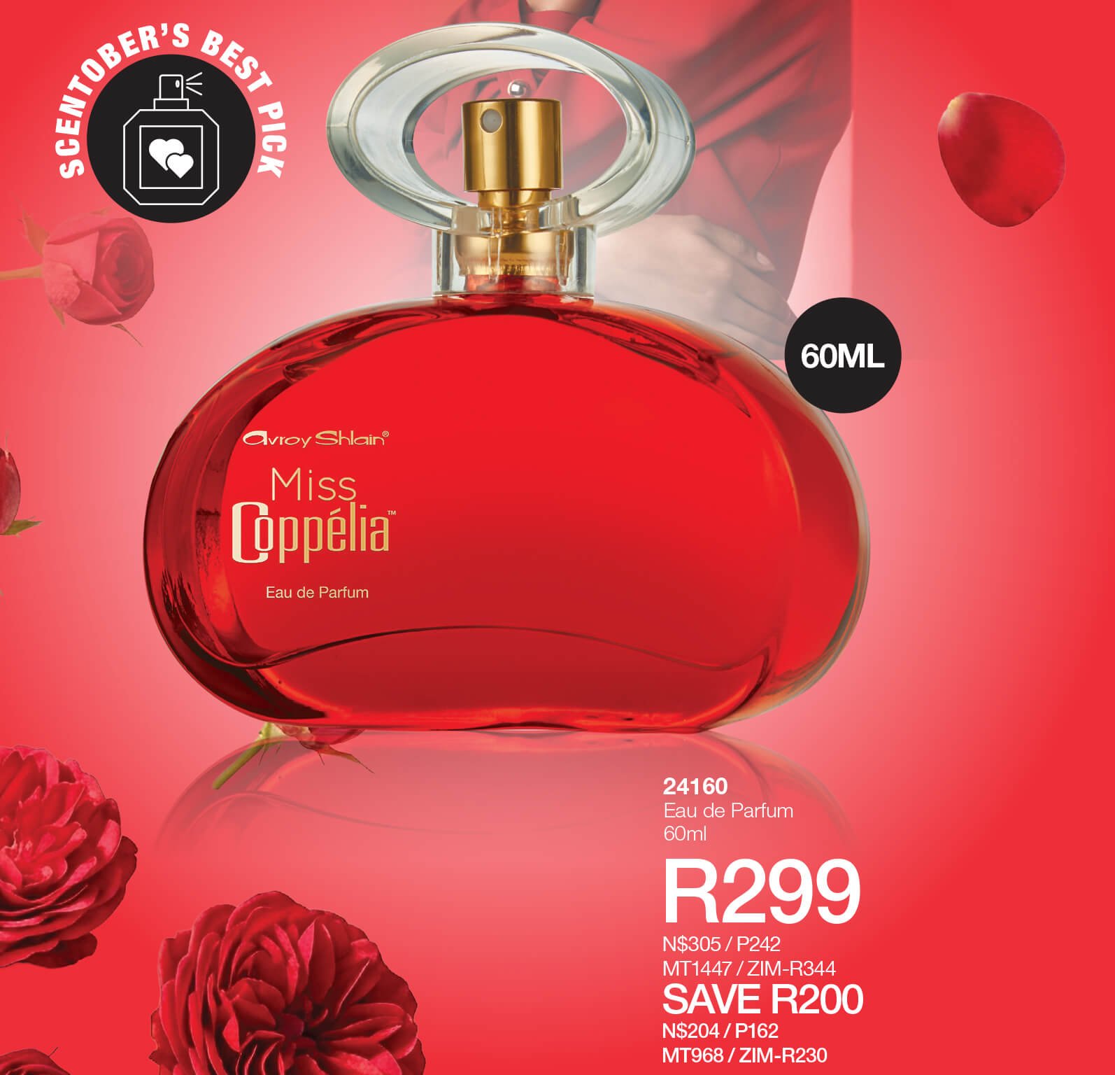 Avroy Shlain October 2026 Brochure